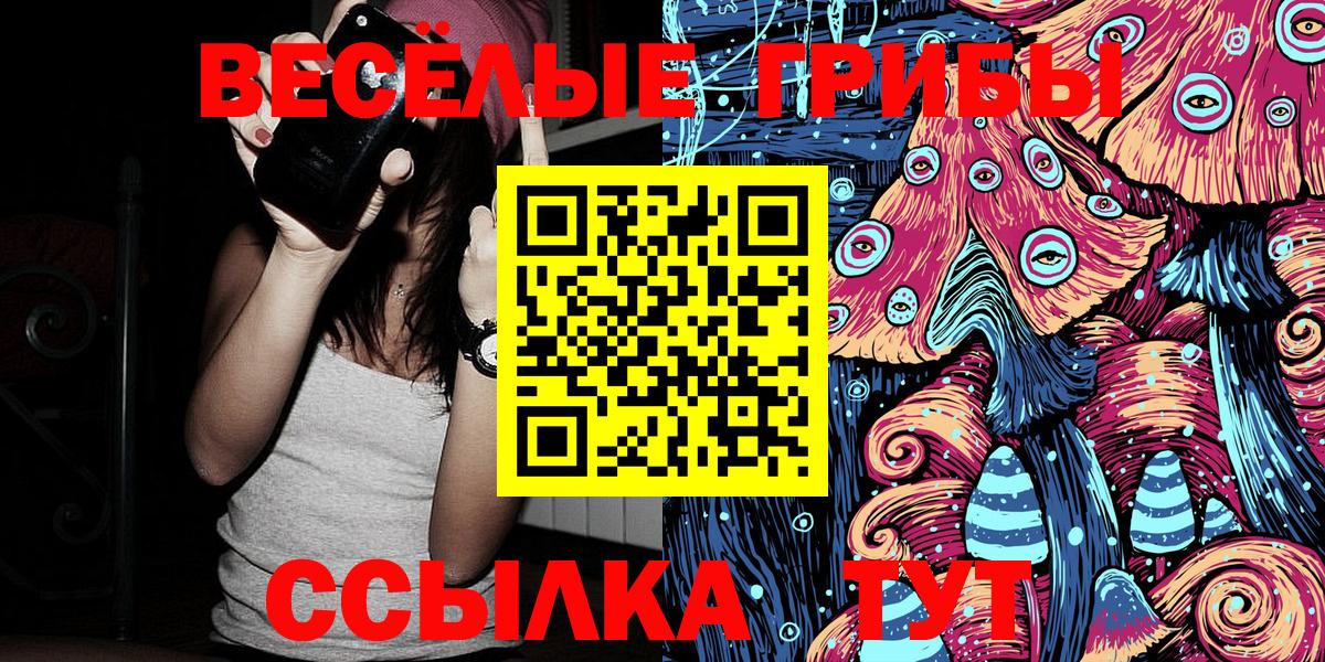 Псилоцибиновые грибы GOLDEN TEACHER  Вход с VPN  продажа наркотиков  Псилоцибиновые грибы мухоморы  Северобайкальск 